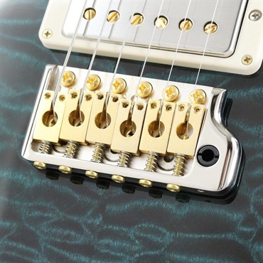 P.R.S. Ikebe 50th Anniversary Wood Library Special Semi-Hollow (Custom Color) [SN.0404913] 画像6