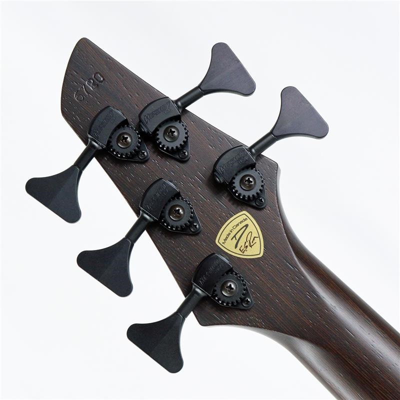 DINGWALL Z3 5strings Maple Burl Top/Alder Back/Wenge Neck (Transparent Charcoal and Ducati White) 画像7