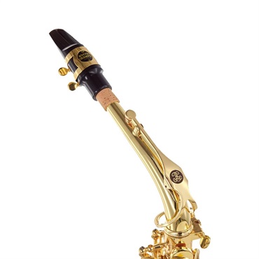 Buffet Crampon 【雲井雅人氏選定品】【選定料無料】アルトサックス ビュッフェ・クランポン Prodige（プロディージュ）BC8301-1  【調整&セットアップ後出荷】【5年間キーバランス調整無料】 画像1