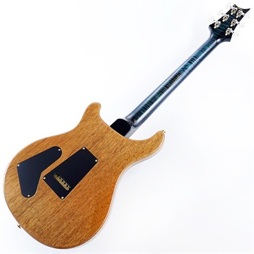 P.R.S. Ikebe 50th Anniversary Wood Library Special Semi-Hollow (Custom Color) SN.0401655 画像2