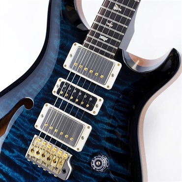 P.R.S. Ikebe 50th Anniversary Wood Library Special Semi-Hollow (Custom Color) SN.0401655 画像3