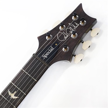 P.R.S. Ikebe 50th Anniversary Wood Library Special Semi-Hollow (Custom Color) SN.0401655 画像8