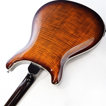 P.R.S. SE Hollowbody II Piezo (Orange Tiger Smokeburst) SN.CTCI04226 画像6