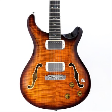P.R.S. SE Hollowbody II Piezo (Orange Tiger Smokeburst) SN.CTCI04226 画像10