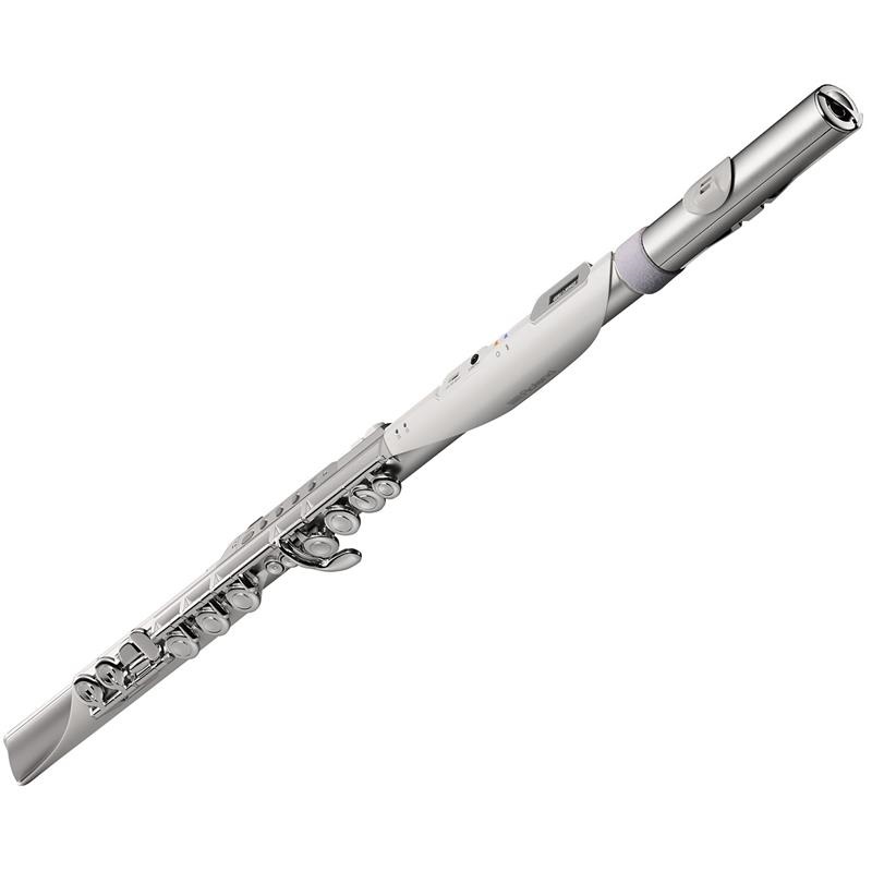 Roland 【新製品】 ローランド / Aerophone Brisa デジタル管楽器 AE-BRISA エアロフォン・ブリサ 画像1