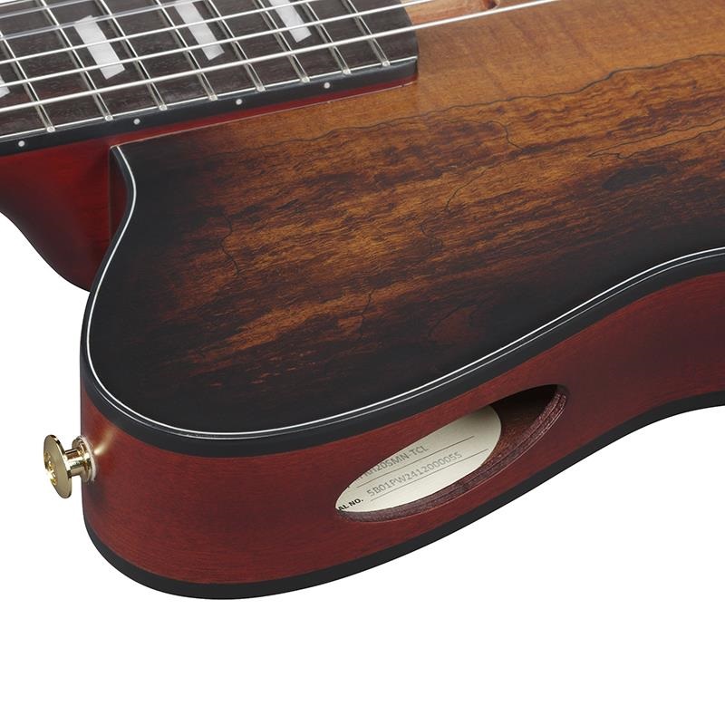 Ibanez FRH20SMN-TCL (Tobacco Burst Low Gloss) [SPOT MODEL] 画像5
