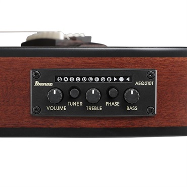 Ibanez FRH20SMN-TCL (Tobacco Burst Low Gloss) [SPOT MODEL] 画像8