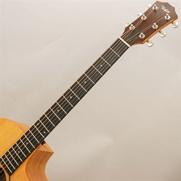 TAYLOR 14ce テイラー 画像8