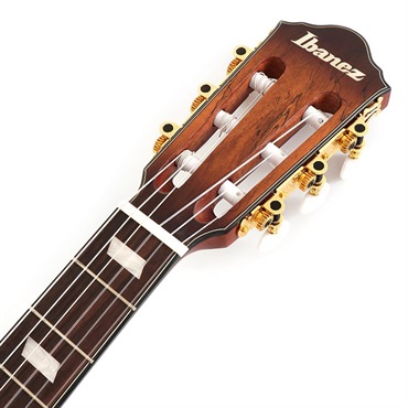 Ibanez FRH20SMN-TCL (Tobacco Burst Low Gloss) [SPOT MODEL] 画像6