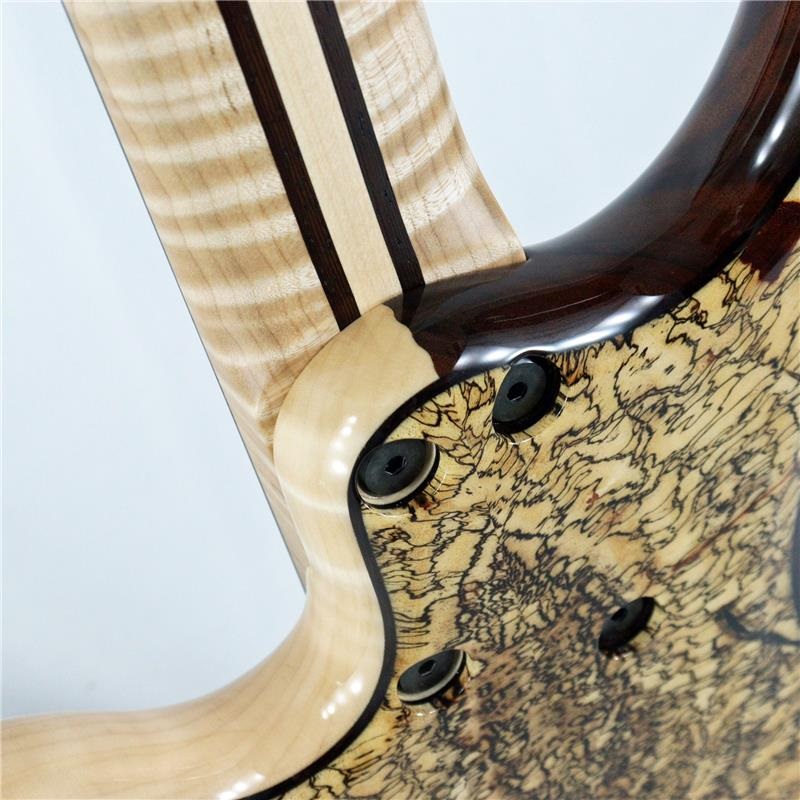 DINGWALL Prima Artist 5strings Spalted Tamarind Top 画像6