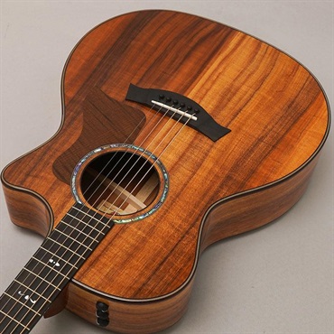 TAYLOR 724ce V-Class テイラー 画像4