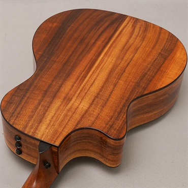 TAYLOR 724ce V-Class テイラー 画像5