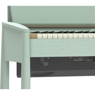 Roland きよら KIYOLA KF-20-KG (セラドングリーン) ローランド カリモク家具 画像5
