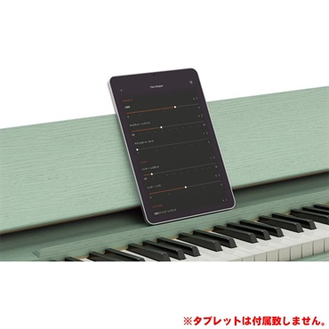Roland きよら KIYOLA KF-20-KG (セラドングリーン) ローランド カリモク家具 画像7