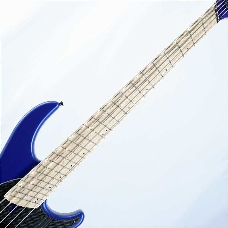 DINGWALL NG-3 5st Adam Nolly Getgood Signature Model (Blueberry) 画像2