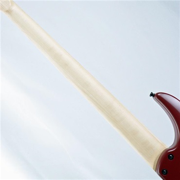 DINGWALL NG-3 5st Adam Nolly Getgood Signature Model (Pegasus Red) 画像6