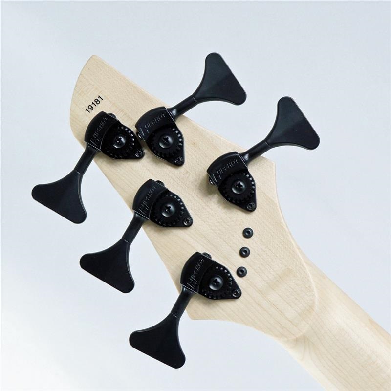 DINGWALL NG-3 5st Adam Nolly Getgood Signature Model (Pegasus Red) 画像7