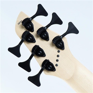 DINGWALL NG-3 6st Adam Nolly Getgood Signature Model (Blueberry) 画像7