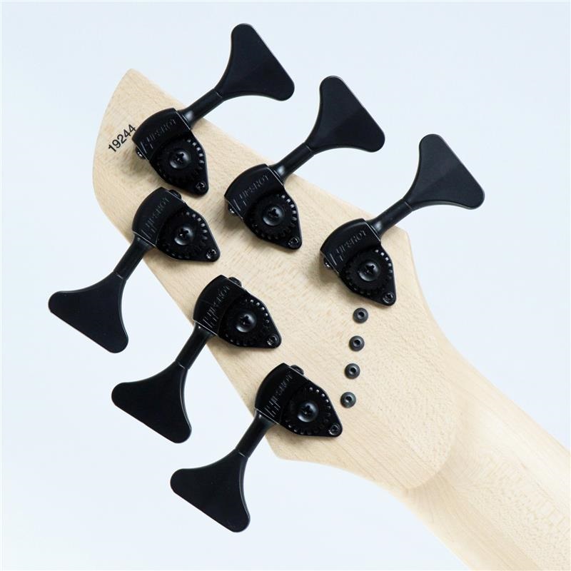 DINGWALL NG-3 6st Adam Nolly Getgood Signature Model (Blueberry) 画像7