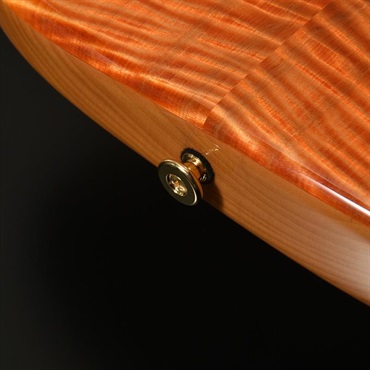 momose MC-MV-Premium/FT #21307 (ORG-VGR) 【Deviser One Day Guitar Show 2025 選定品】 画像2