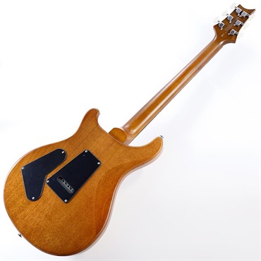 P.R.S. Ikebe Exclusive SE Custom 24 Spalted Veneer (Natural) 画像2