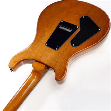 P.R.S. Ikebe Exclusive SE Custom 24 Spalted Veneer (Natural) 画像6