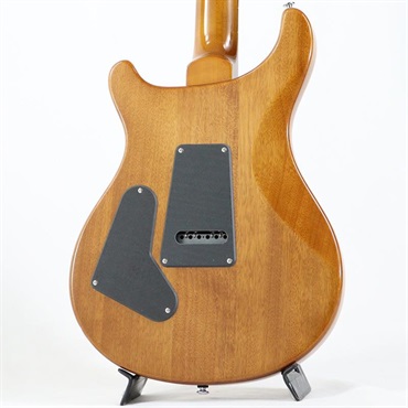 P.R.S. Ikebe Exclusive SE Custom 24 Spalted Veneer (Natural) 画像3