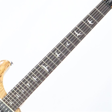P.R.S. Ikebe Exclusive SE Custom 24 Spalted Veneer (Natural) 画像5