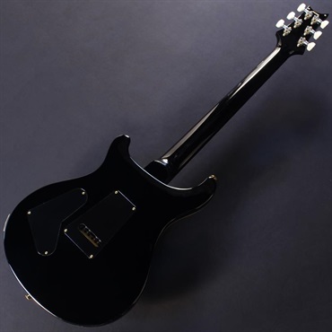 P.R.S. Custom 24 10 Top (Faded Whale Blue) #25 0409495 画像5