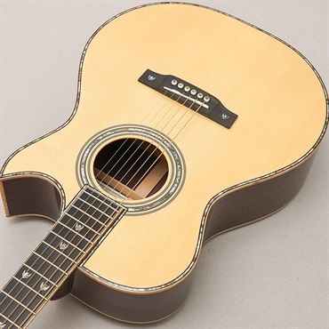 FONZO GUITARS V-33S SJFC 画像4