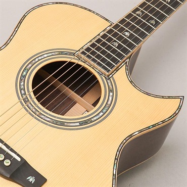 FONZO GUITARS V-33S SJFC 画像6