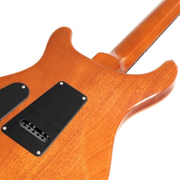 P.R.S. Ikebe Exclusive SE Custom 24 Spalted Veneer (Natural) 画像5