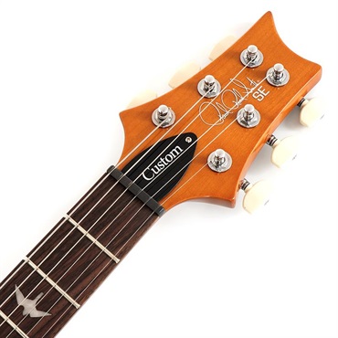 P.R.S. Ikebe Exclusive SE Custom 24 Spalted Veneer (Natural) 画像6