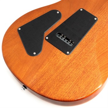 P.R.S. Ikebe Exclusive SE Custom 24 Spalted Veneer (Natural) 画像7