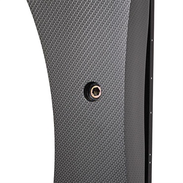 ARIA SWB-200 CFT (Carbon Fiber Texture) 画像3