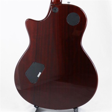 TAYLOR USED 中古 XXXV T3-C 35th Anniversary Cocobolo [SN.20090715602] テイラー 画像3