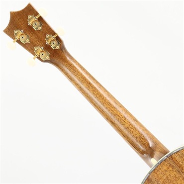 MARTIN 【激得GWセール】 CTM 5K Tenor Tree of Life -Factory Wood Selection Custom Model- マーチン マーティン 画像8