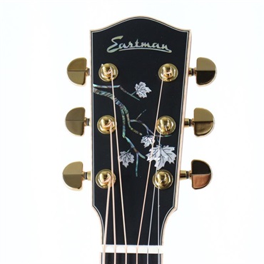 EASTMAN 【現地選定品】AC622CE #M2532006 画像4