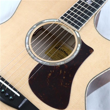 EASTMAN 【現地選定品】AC622CE #M2532006 画像8