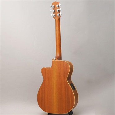 MATON EBG808C TE - Tommy Emmanuel - メイトン 画像3