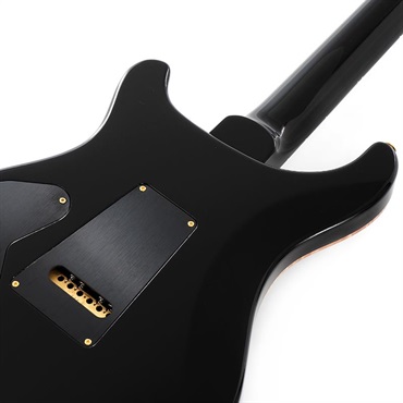 P.R.S. Custom 24 Piezo 10 Top (Faded Whale Blue) SN.0407447 画像5