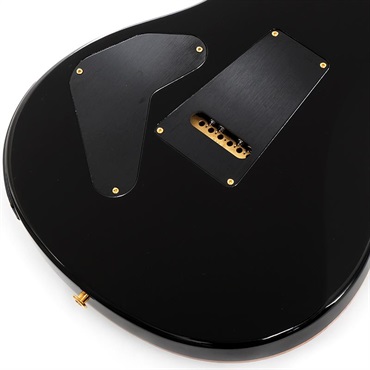 P.R.S. Custom 24 Piezo 10 Top (Faded Whale Blue) SN.0407447 画像7