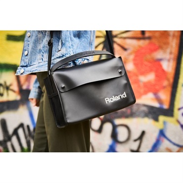 Roland CUBE Street MINI 画像8