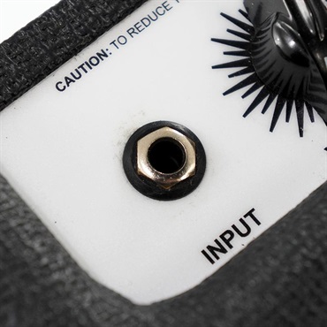 Carr USED 中古 Viceroy1x12 Combo 画像7