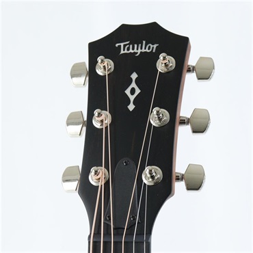 TAYLOR Next Generation 314ce テイラー 画像4
