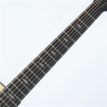 TAYLOR Next Generation 314ce テイラー 画像5