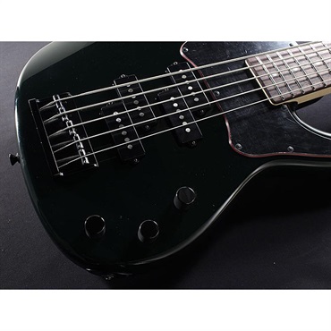 Freedom Custom Guitar Research Custom Style Blowzer 5st PP (Black...green?) 画像3