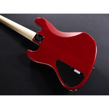 ATELIER Z M#265 Custom (TP-RED/E/MH) 画像10