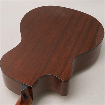 TAYLOR Next Generation 314ce テイラー 画像5