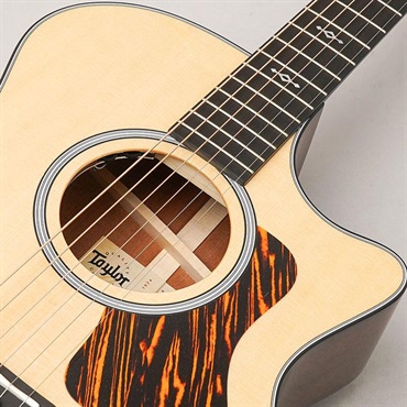 TAYLOR Next Generation 314ce テイラー 画像6